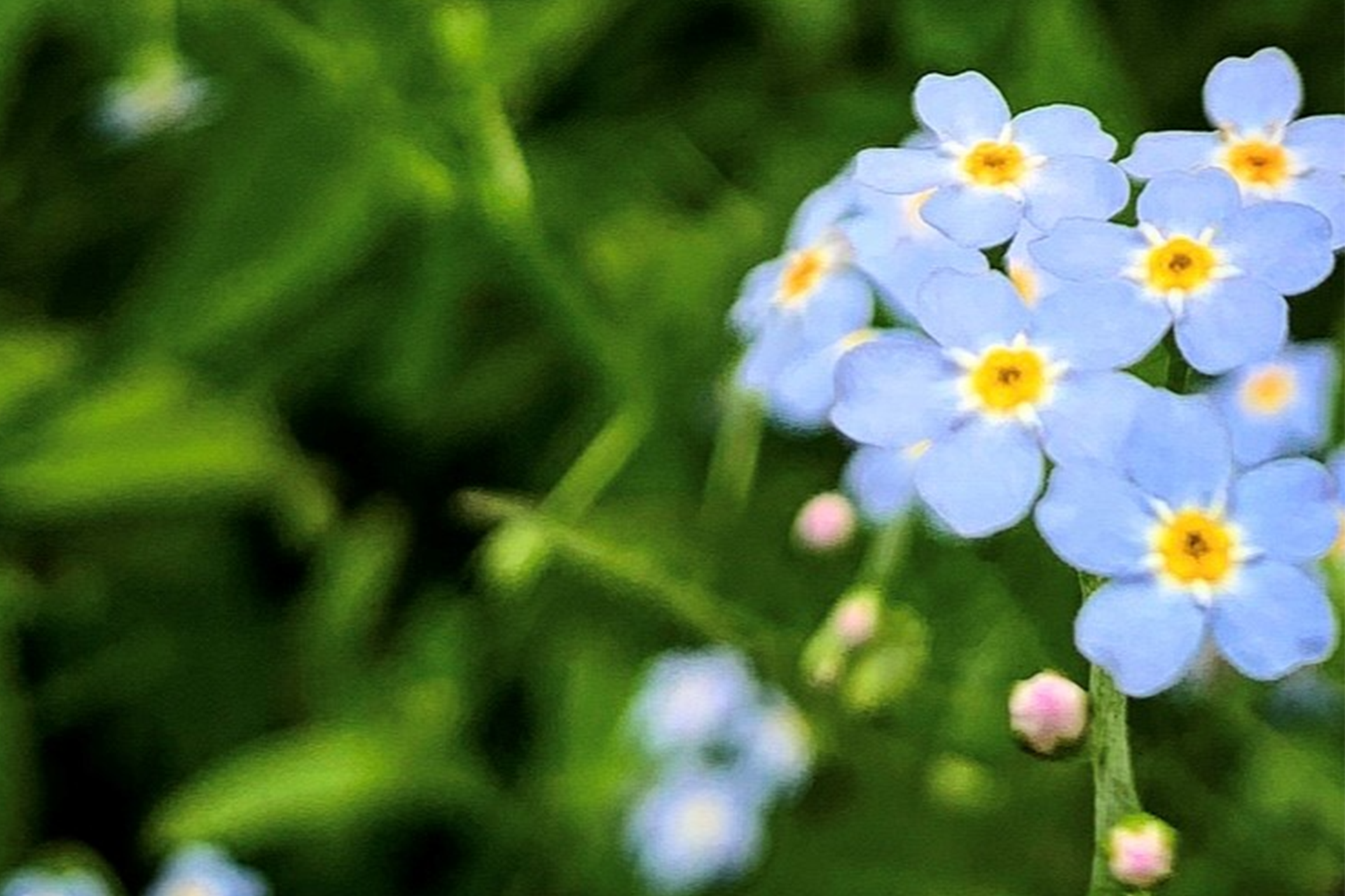 main blog image