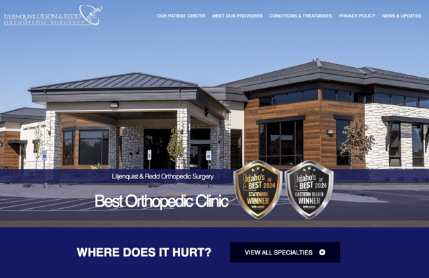 Images Sapien Designs SEO digital marketing hub