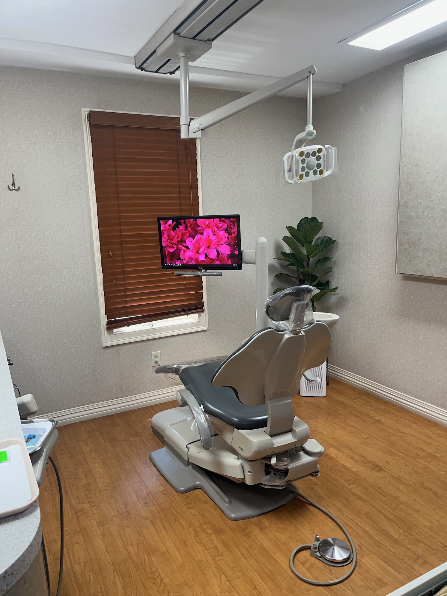 At Kalmar Family Dentistry, Dr. Kelly L. Kalmar and her expert team continuously strive to provide the highest quality dental care for patients of all ages. We are driven by quality, values, efficiency, communication and continuous training ensuring an optimum and healthy environment in which to benefit our patients' needs.
Visit us today, we are located between High Street and Main Street in Huntington, NY.