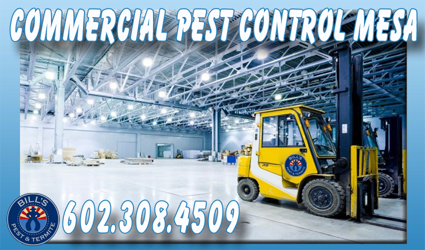 Bills Pest Termite Control Mesa Az Image