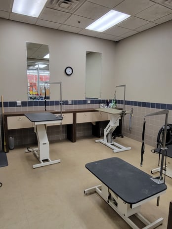 Images Petco Grooming
