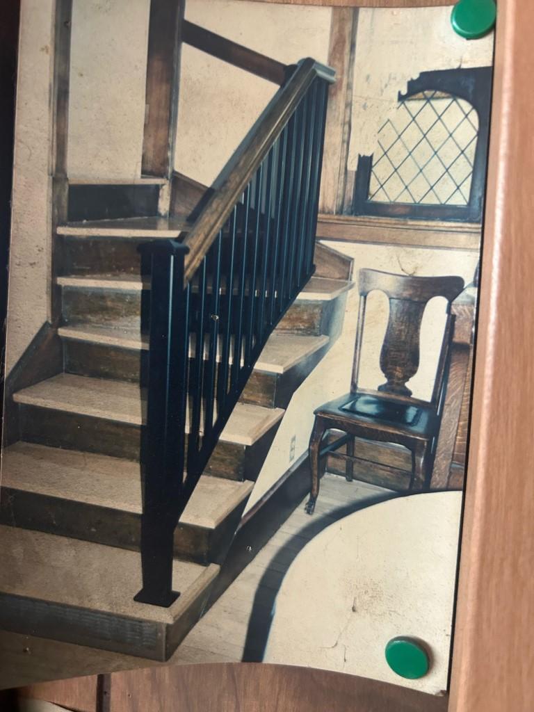 Katzmarek Ornamentaliron Image