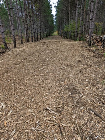 Images TK Land Management LLC