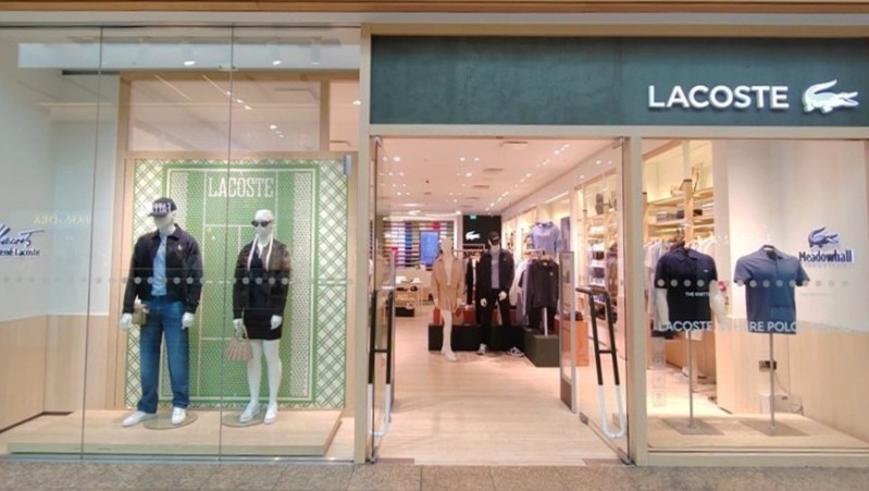 Overall View - Windows (Hero Image)