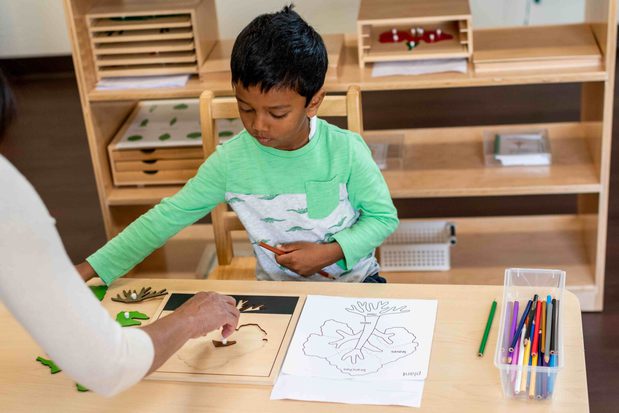 Images Irvine Montessori School