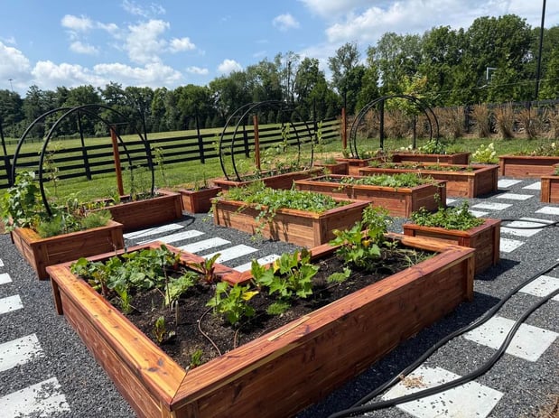 Images Edible Gardens Inc