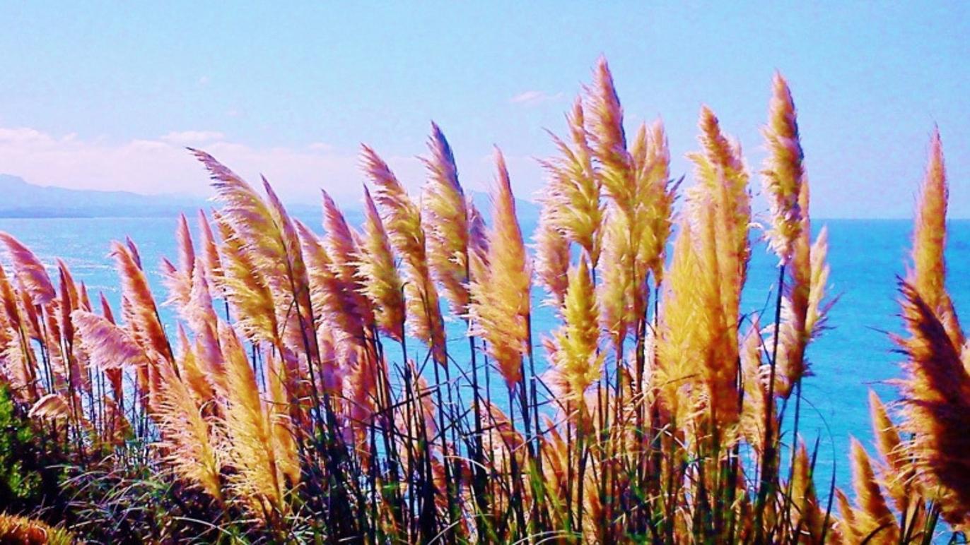 Images Äventyrsbyrån