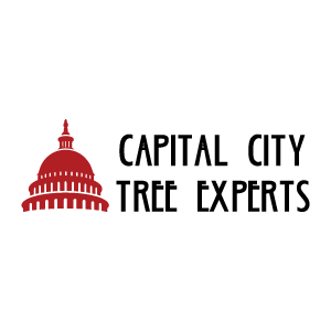 Capital City Tree Experts