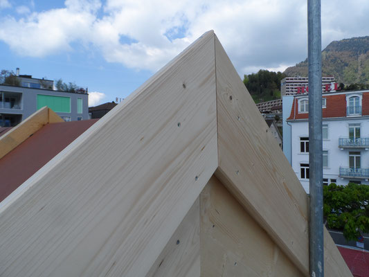 HOLZBAU PHILIPP UND WOLFGANG STALDER AG, Rigistrasse 96 in Weggis