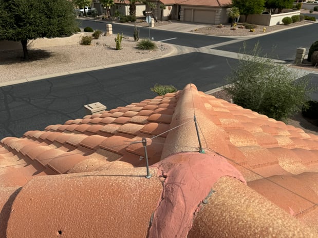 Images Darling Wildlife Services