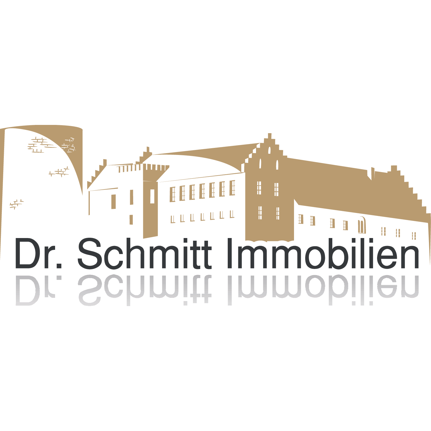 Logo Dr. Schmitt Immobilien G.m.b.H.