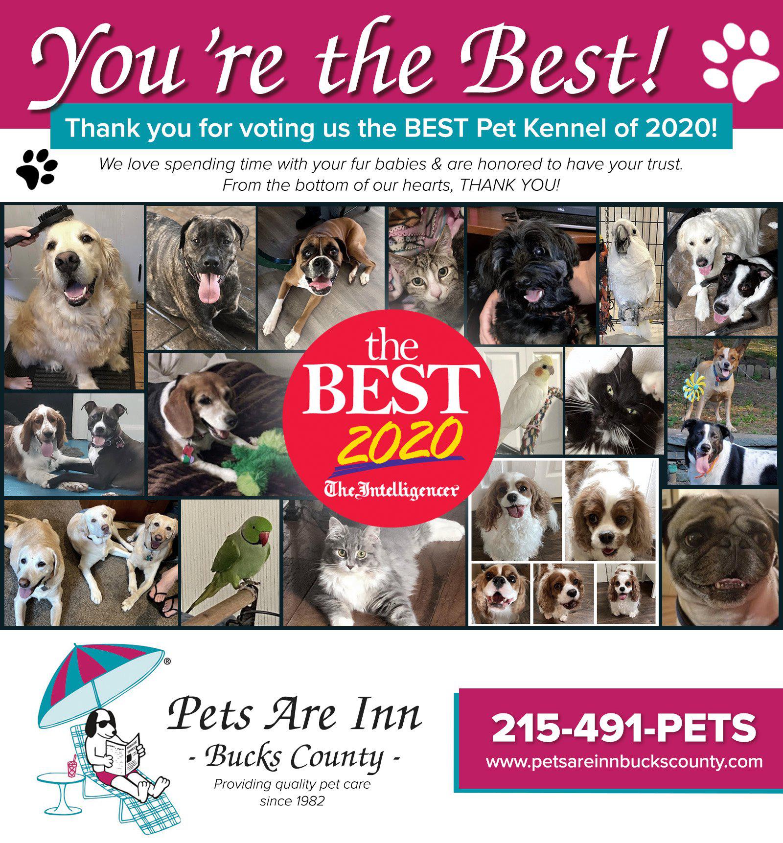 At Pets Are Inn, we are honored that you all have voted us a 2020 Best Pet Kennel. It is our great pleasure to work alongside our amazing host families to provide quality pet boarding services to all of your fur babies. We absolutely love doing what we do. Thank you all for being part of our fur family!  PetsAreInn  Dogboarding  DoylestownPA