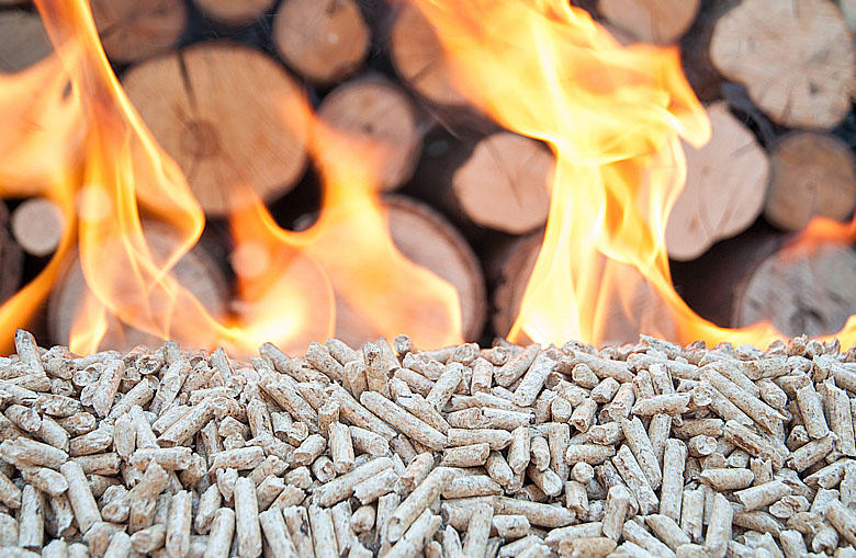 Frank Ohlhoff GmbH & Co. KG, Kulmbacher Strasse 91a in Saalfeld