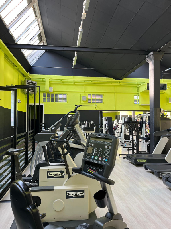 Images Dynamic Gym