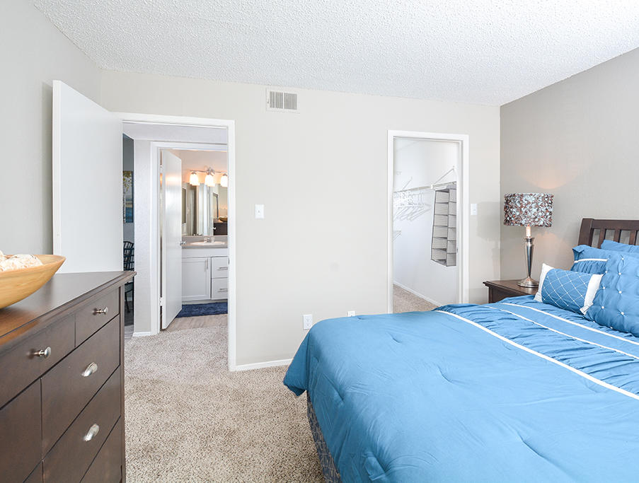 Bedroom With Walk-In Closet