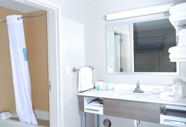 Images Hampton Inn & Suites Tampa-Wesley Chapel