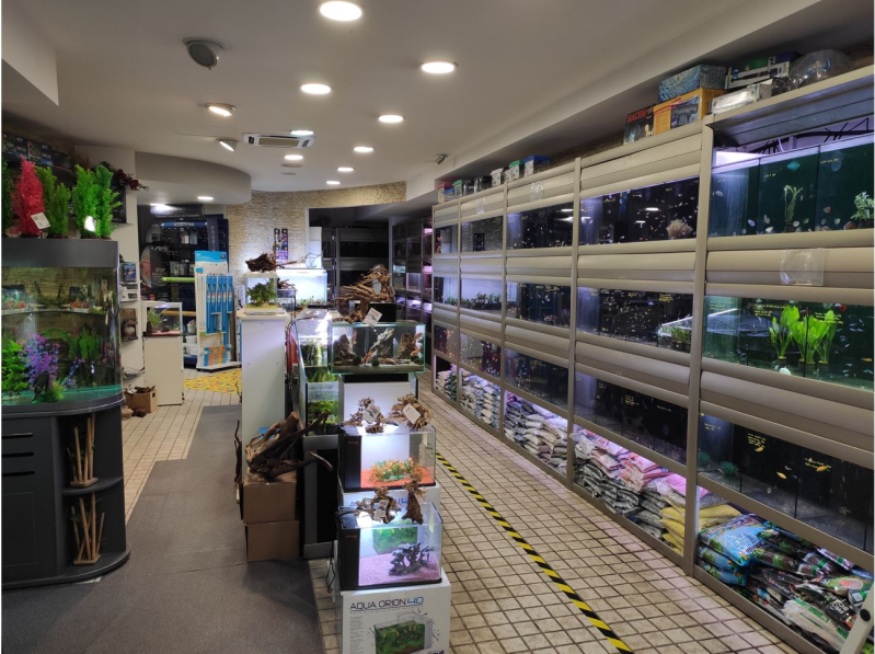 Images A.C.O. Personal Hobby