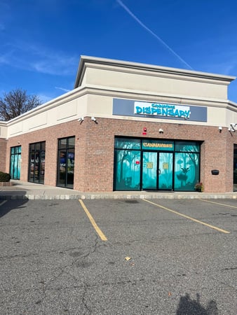 Images Cannavibes Dispensary Elmwood Park NJ