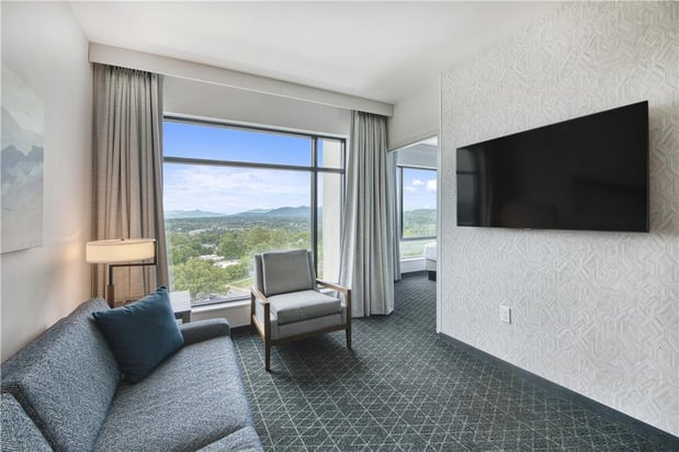 Images Embassy Suites by Hilton Asheville Downtown