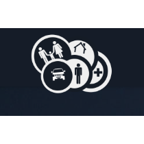 Vela Auto Insurance