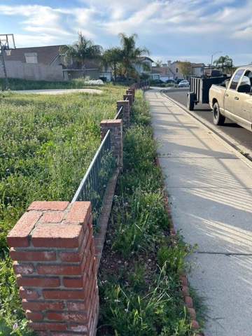 Images Palacios Landscaping