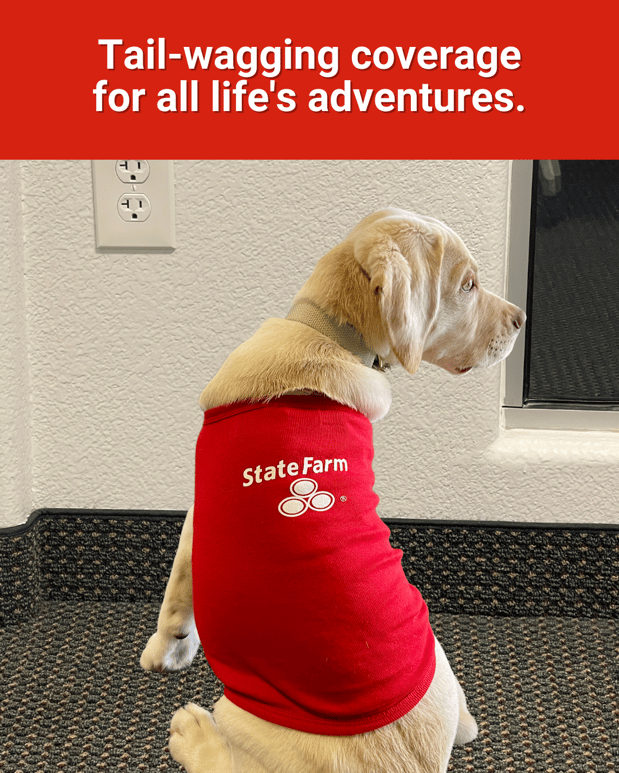 Images Morgan Brinson - State Farm Insurance Agent