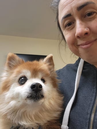 Images VCA Morris Plains Animal Hospital