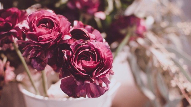 Images Fossum Funeral and Cremation Service