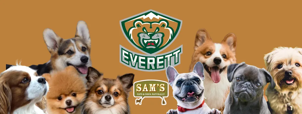 Image of Local Pet Event Mixed-Breed Trials | Sam's Great Small Dog Races Nearby