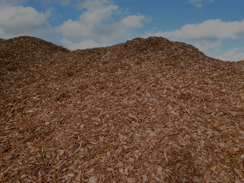 Forest Mulching
Revolutionize your land management approach with our forest mulching services.
