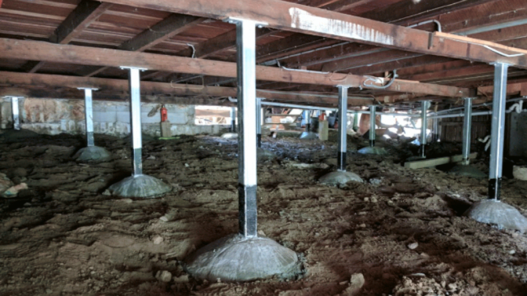 Images Wide Bay Stumping