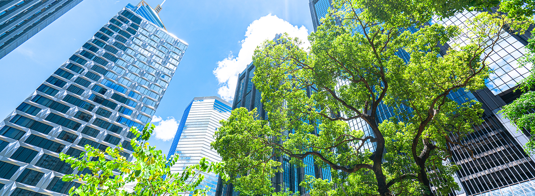 Office buildings as seen from a city park.
