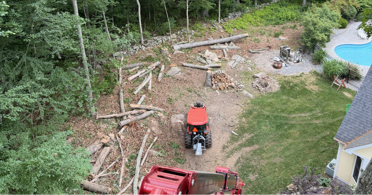 Lot Clearing in Ledyard, CT