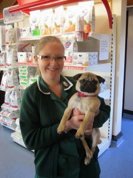 Images The Animal Clinic
