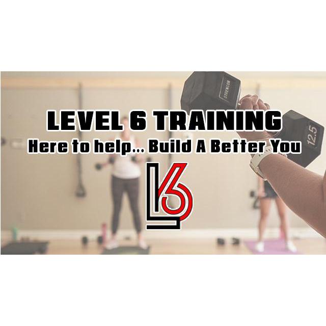 Level6 Training Logo