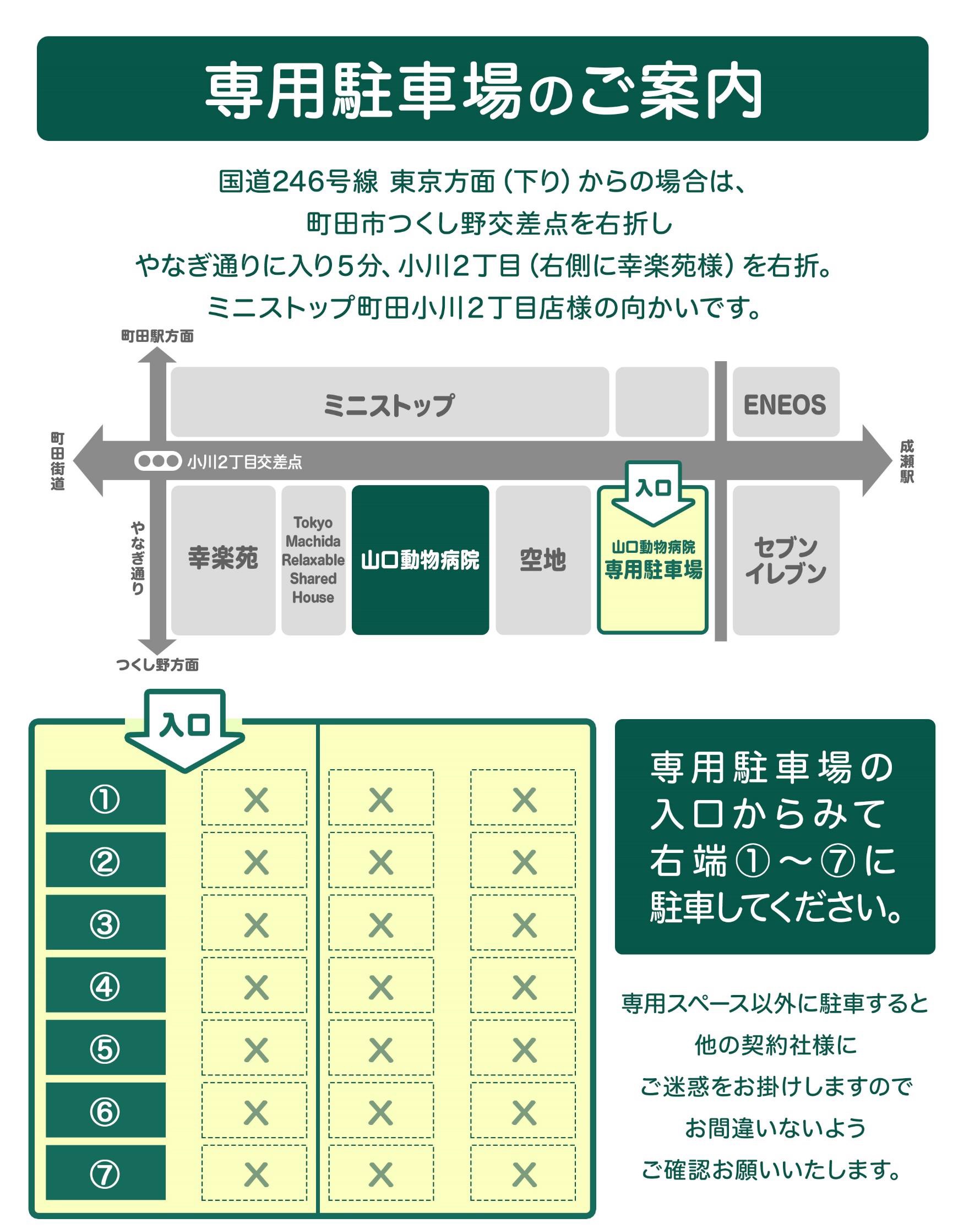 Images 山口動物病院