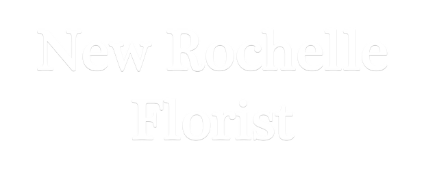 Images New Rochelle Florist