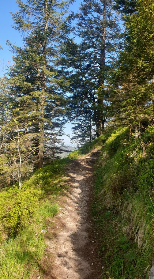 Jürg Hinni – Zurück zu den Wurzeln, Rümligenstrasse 30 in Rümligen
