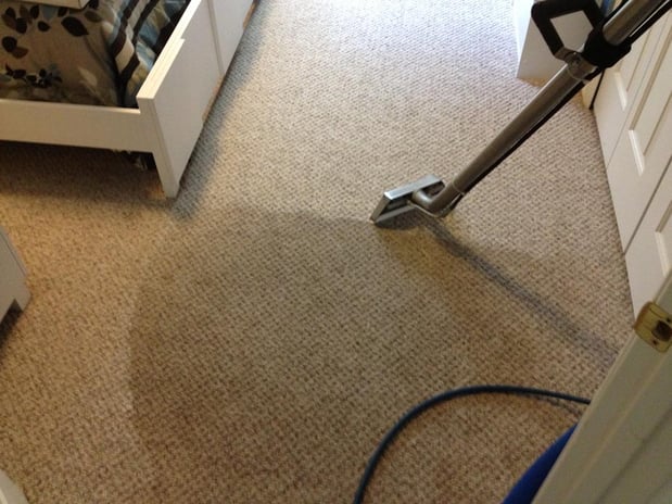 Images Carpet Luster