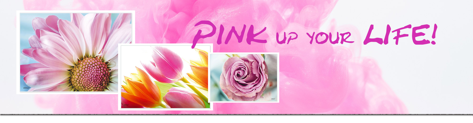 ARTIPICS e.K., Auf dem Kamm, 7 in Bergisch Gladbach