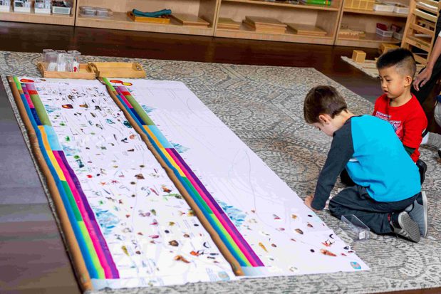 Images Irvine Montessori School