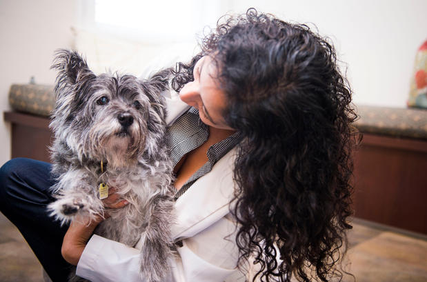 Images Bush Veterinary Neurology Service (BVNS) - Rockville