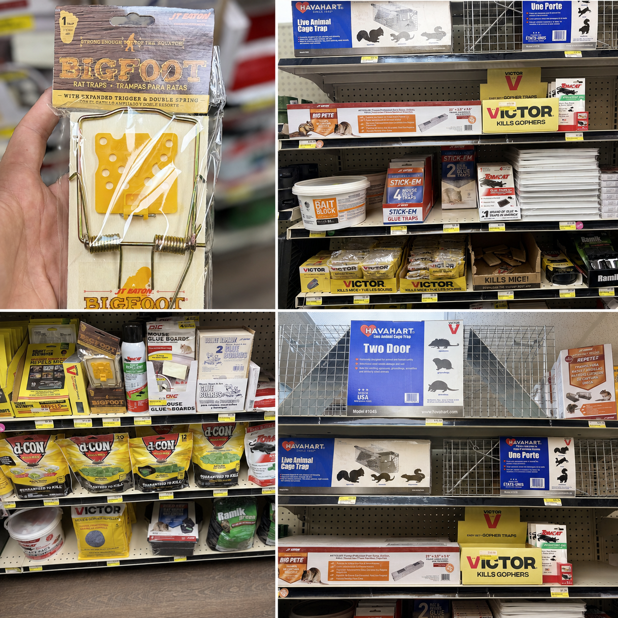 Protect your plumbing from costly mouse damage with rodent-control products at Reeves Azle Hardware. Shop mouse traps, glue boards, repellents, bait stations and live-animal cage traps in stock soon.