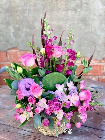 Images The Petal Post