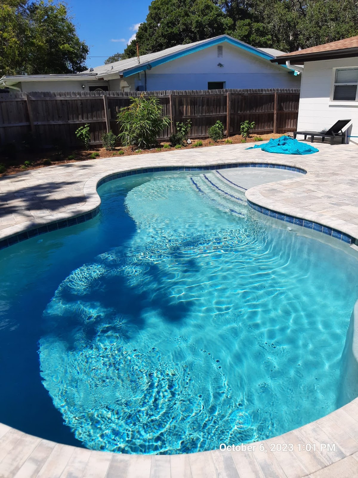 Curved backyard swimming pool with clear blue water, surrounding patio space, and a landscaped residential setting.