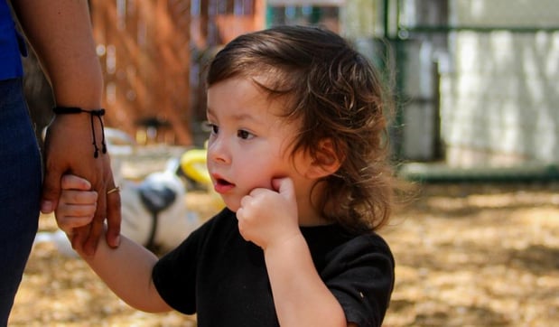 Images Country Home Learning Center at Live Oak