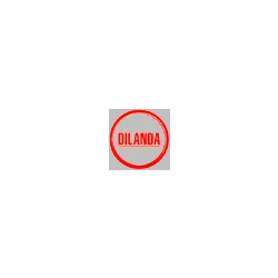 Dilanda Logo