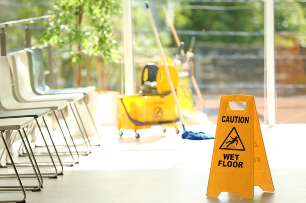 Images Blue Chip Green Cleaning