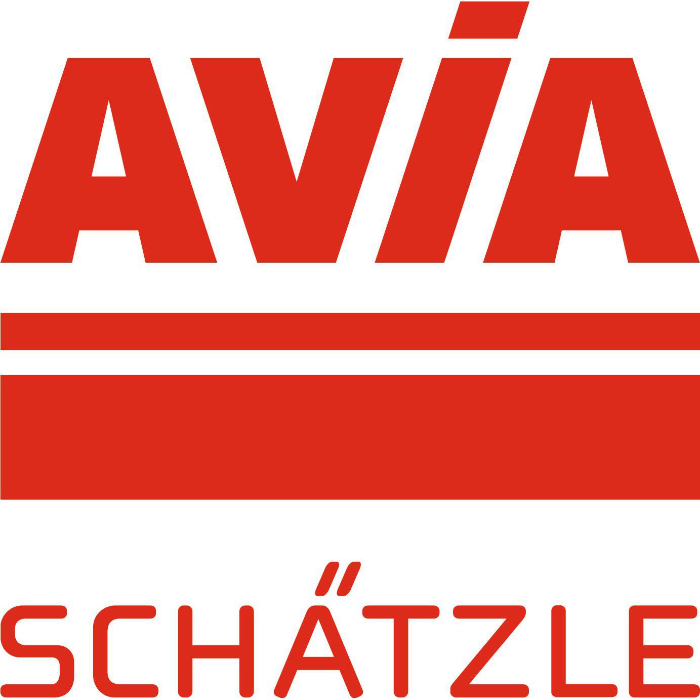 Schätzle AG Logo