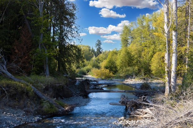 Images Holiday Inn Express & Suites Sequim by IHG